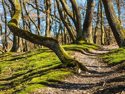 ddos攻击防御手段